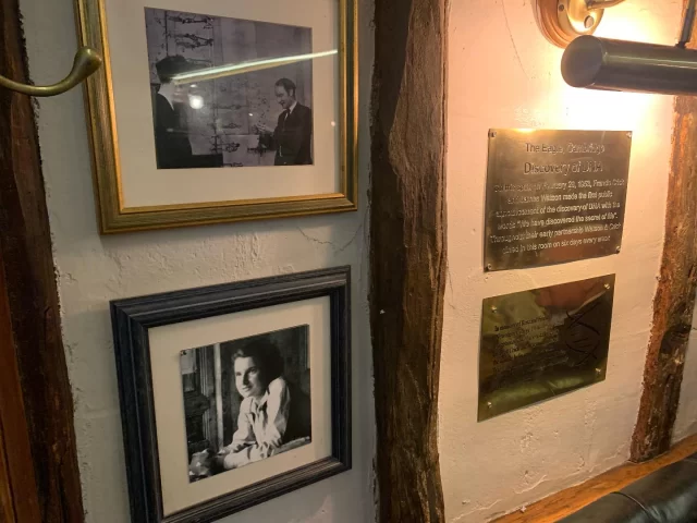 Rosalyn Allen …. Vandalism Cambridge Style. Want to know more? Join a tour